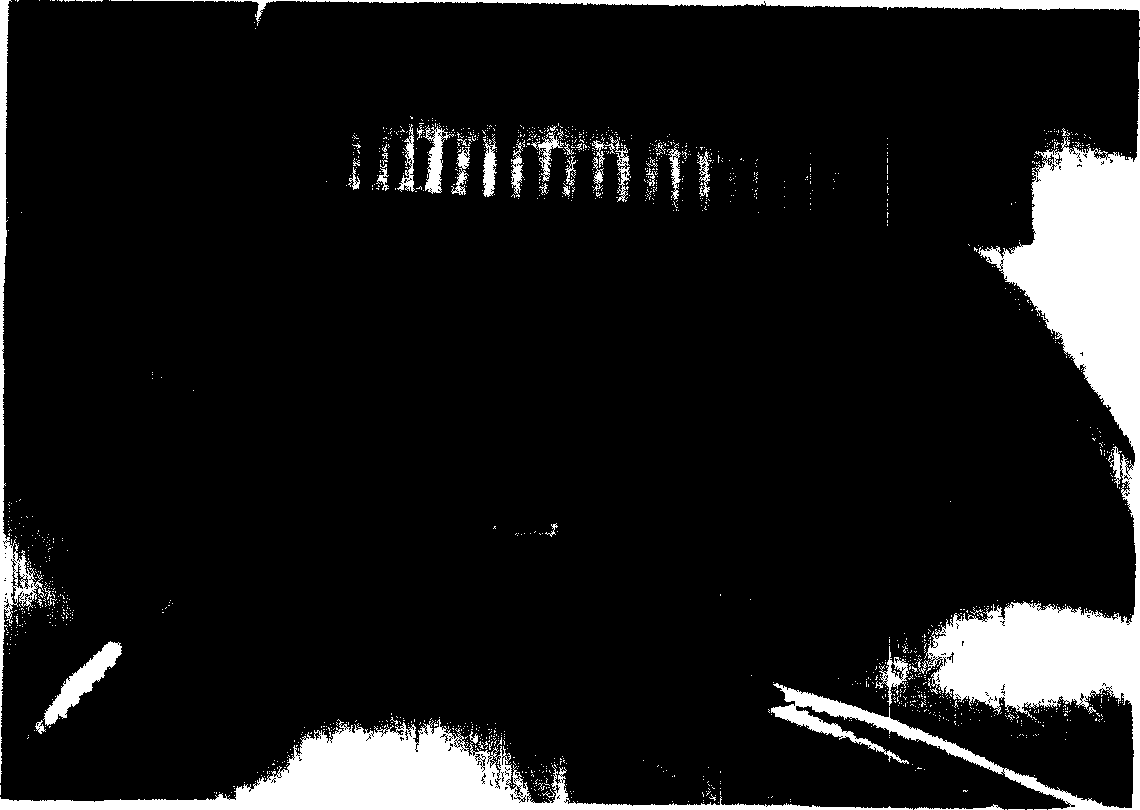 Tissue engineering peripheral nerve used for repairing peripheral nerve defect and its preparation method