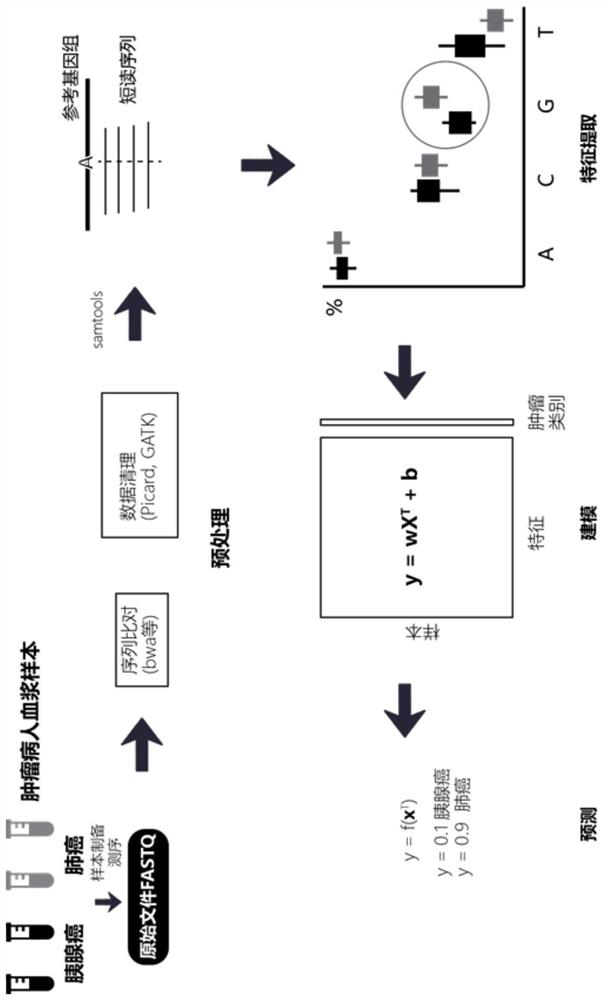 Method and device for extracting biomarkers based on deep sequencing data of cell-free DNA