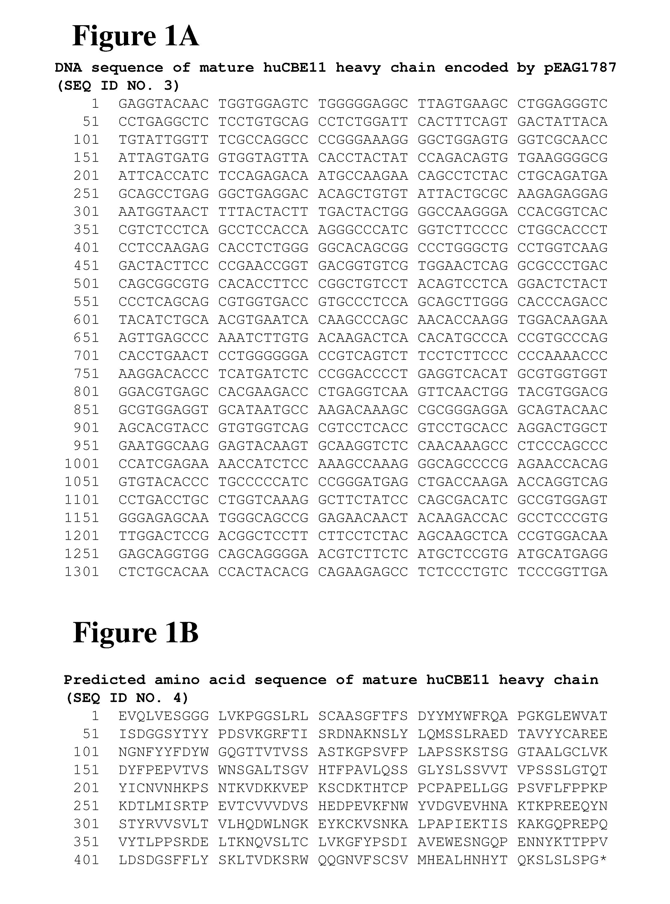 NEONATAL Fc RECEPTOR (FcRn)- BINDING POLYPEPTIDE VARIANTS, DIMERIC Fc BINDING PROTEINS AND METHODS RELATED THERETO