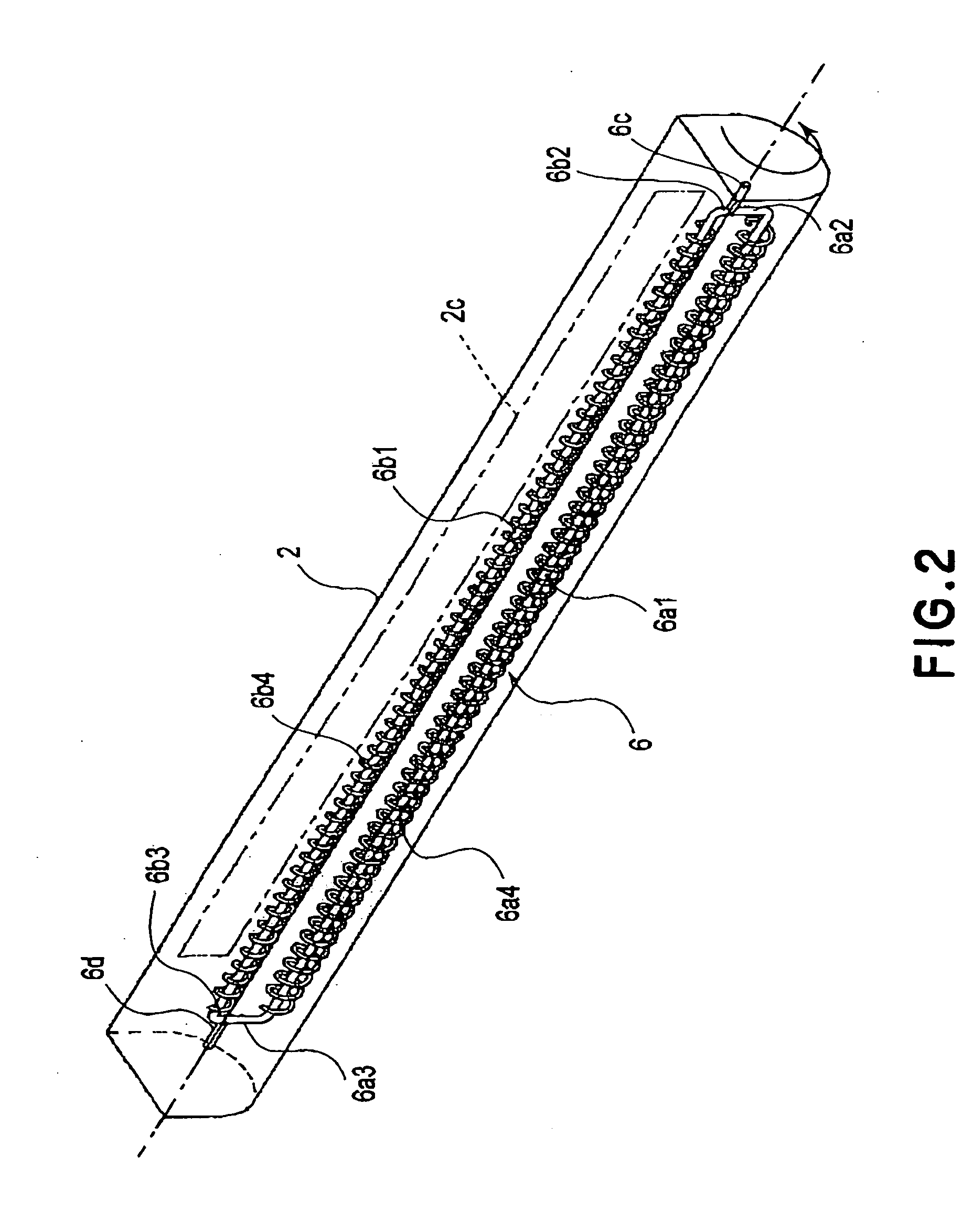 Developing apparatus