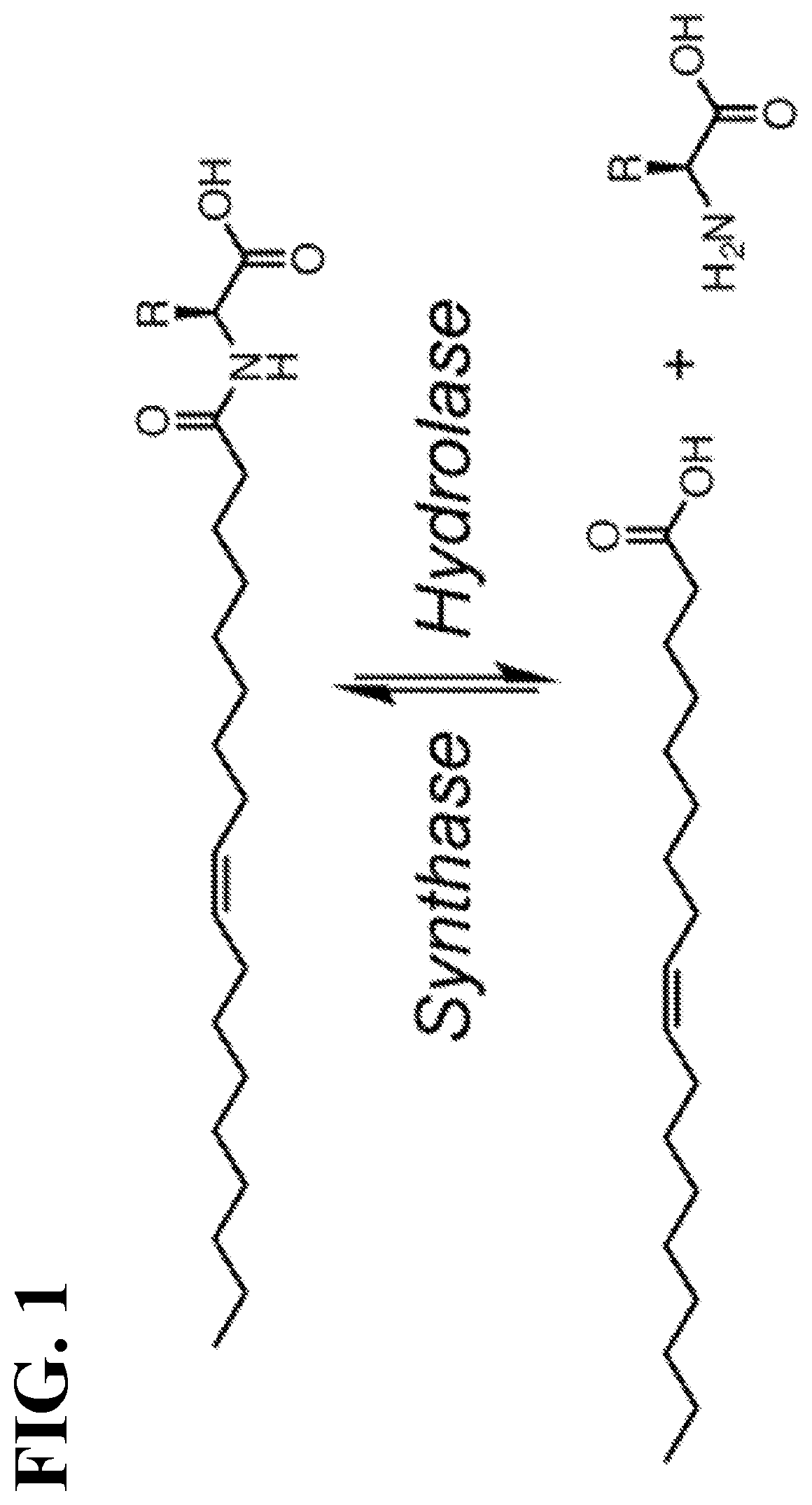 Chemical uncouplers of respiration and methods of use thereof