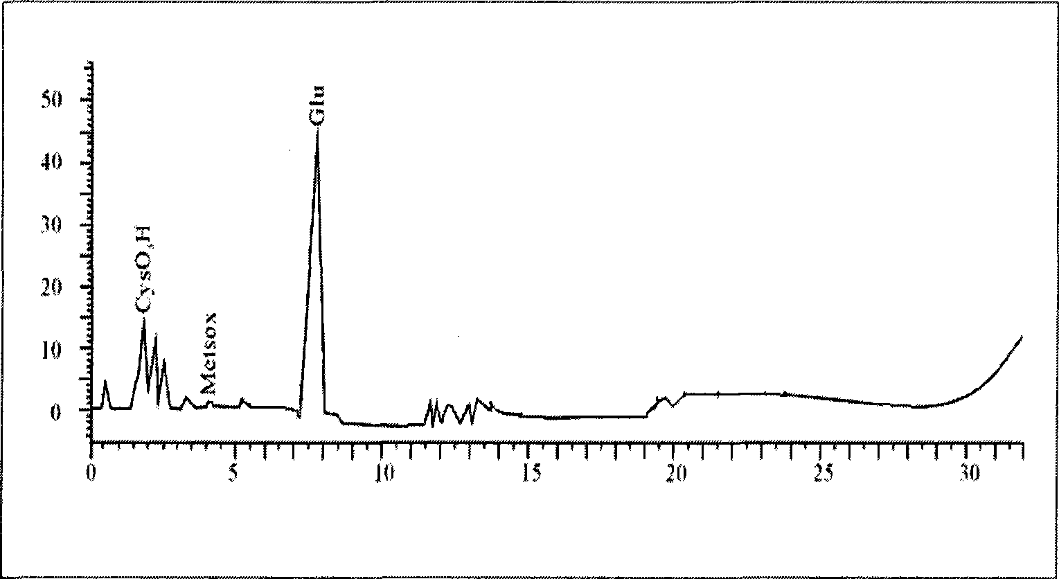 Method for preparing poly-gamma-glutamic acid by fermenting maize raw material Bacillus subtilis