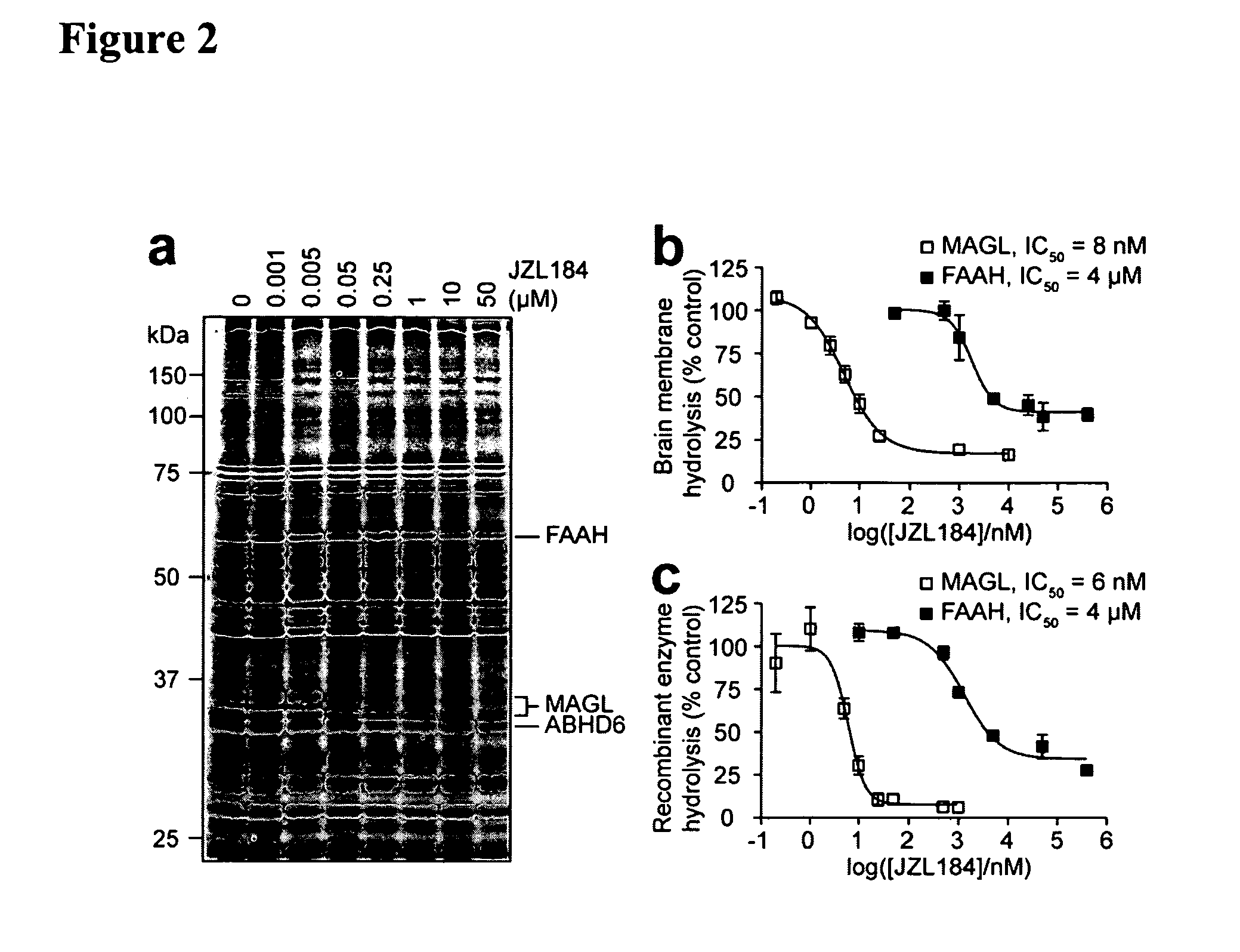 Methods and compositions related to targeting monoacylglycerol lipase