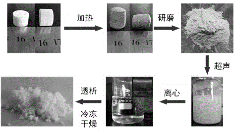 Method for preparing carbon nitride quantum dots