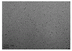 Method for preparing carbon nitride quantum dots