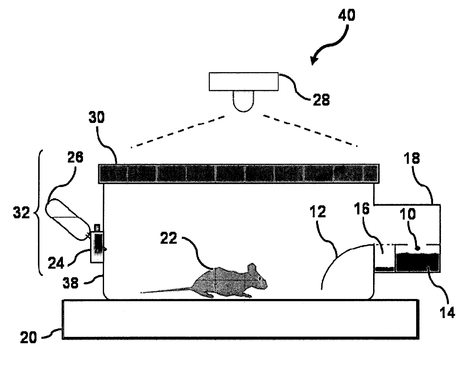 Animal cage behavior system