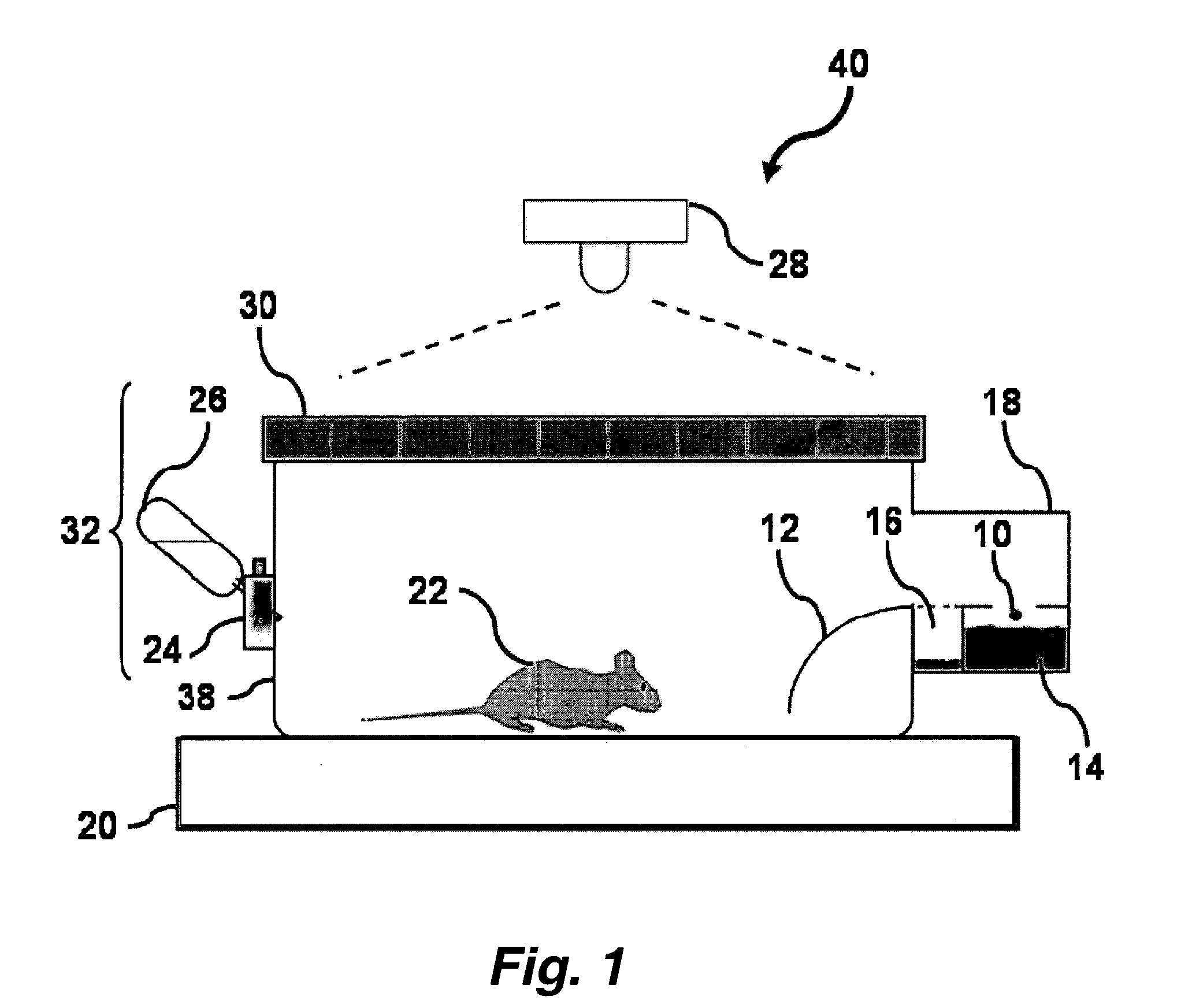 Animal cage behavior system