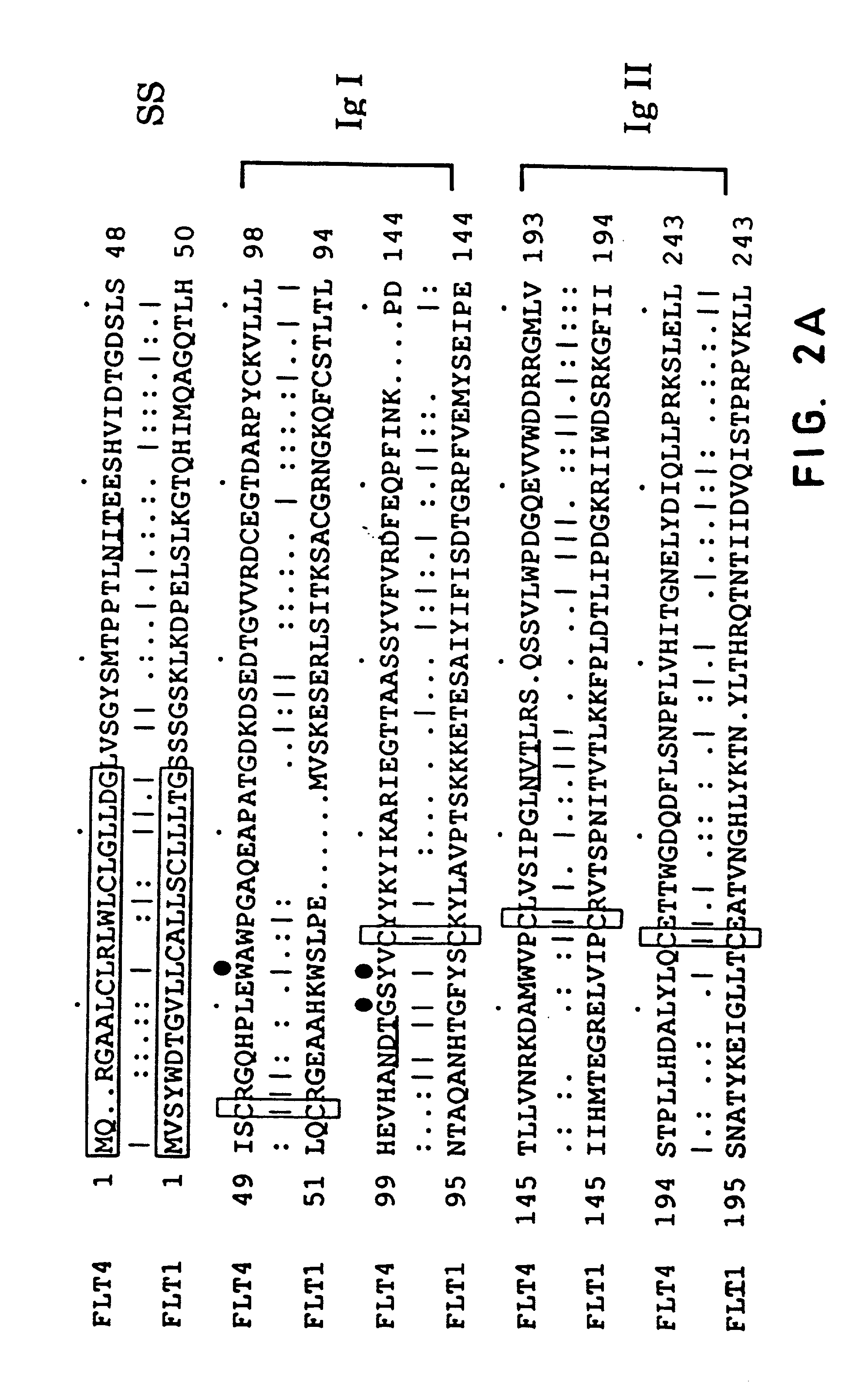 FLT4 (VEGFR-3) as a target for tumor imaging and anti-tumor therapy