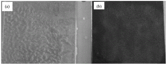 Method for preparing titanium alloy super-hydrophobic anti-frost surface using short pulse laser