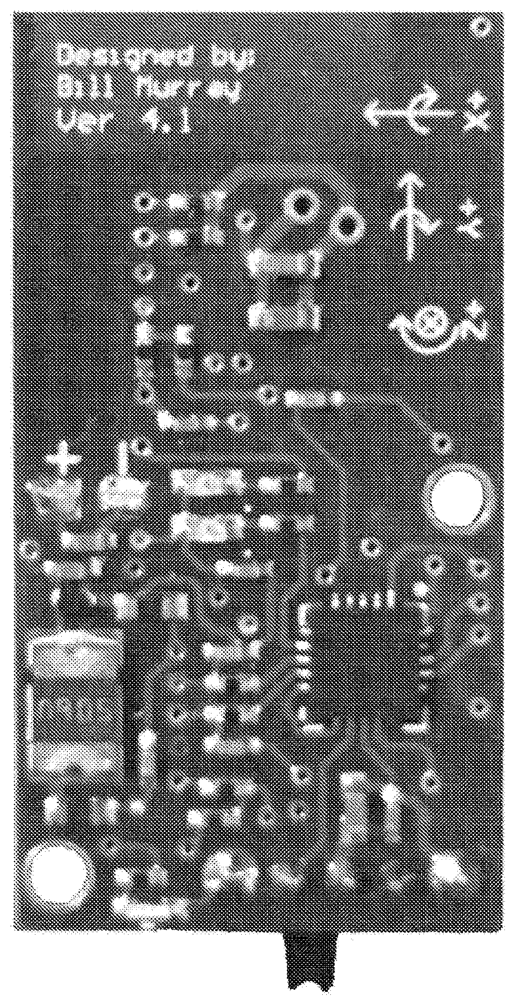 Joint mobility measurement device