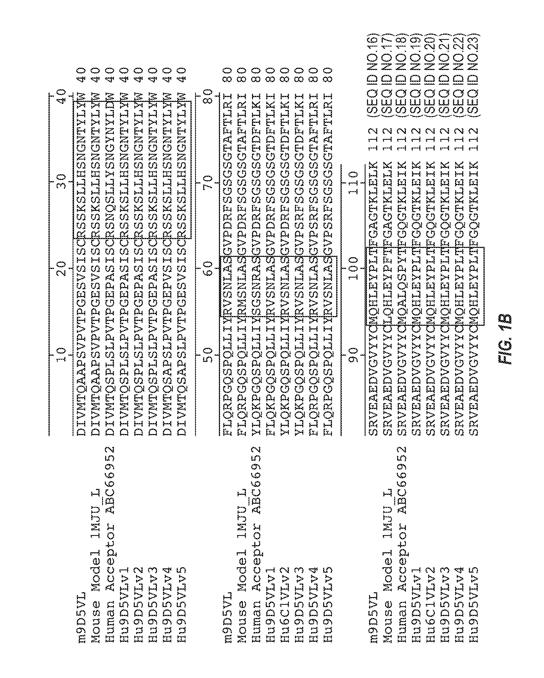 Anti-transthyretin antibodies