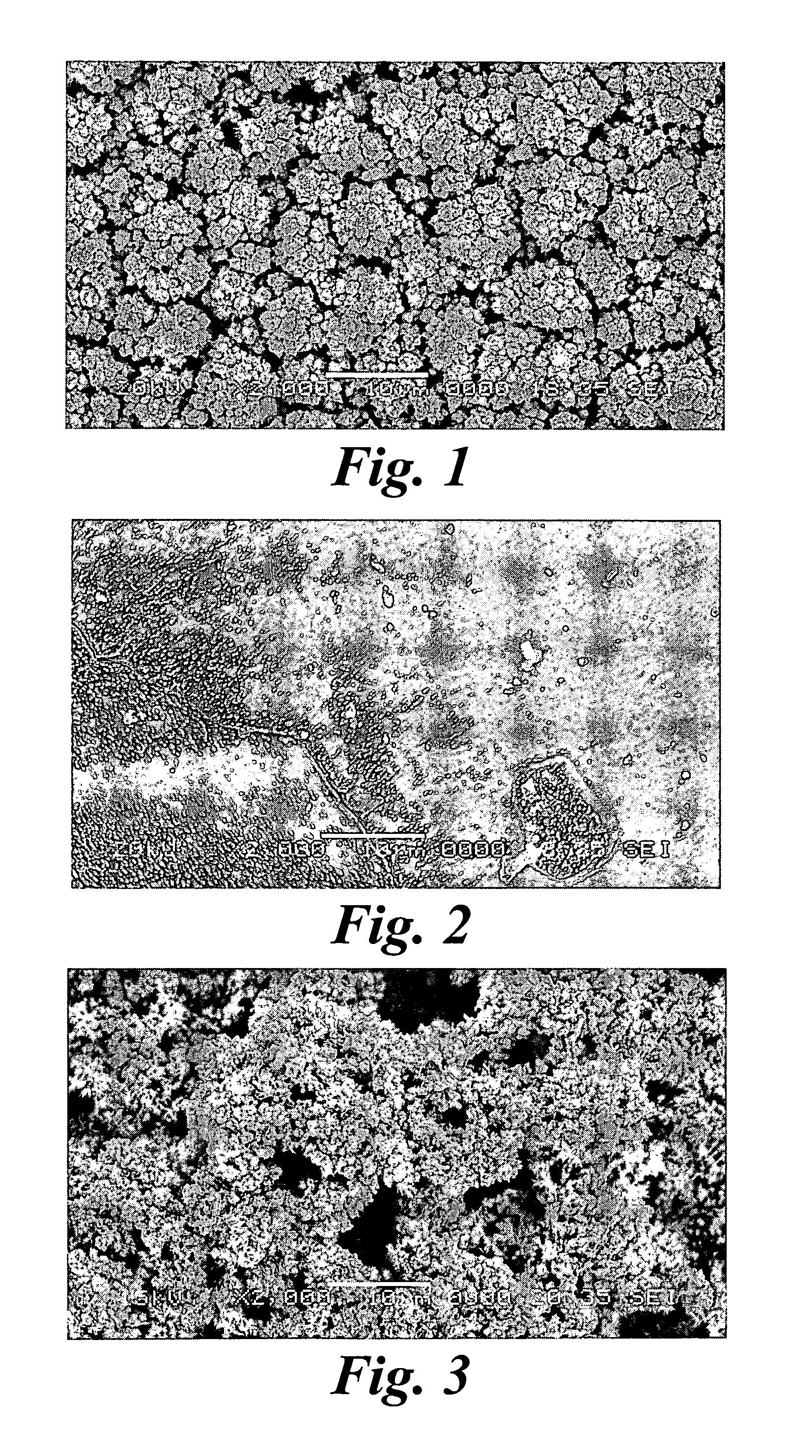 Platinum electrode and method for manufacturing the same