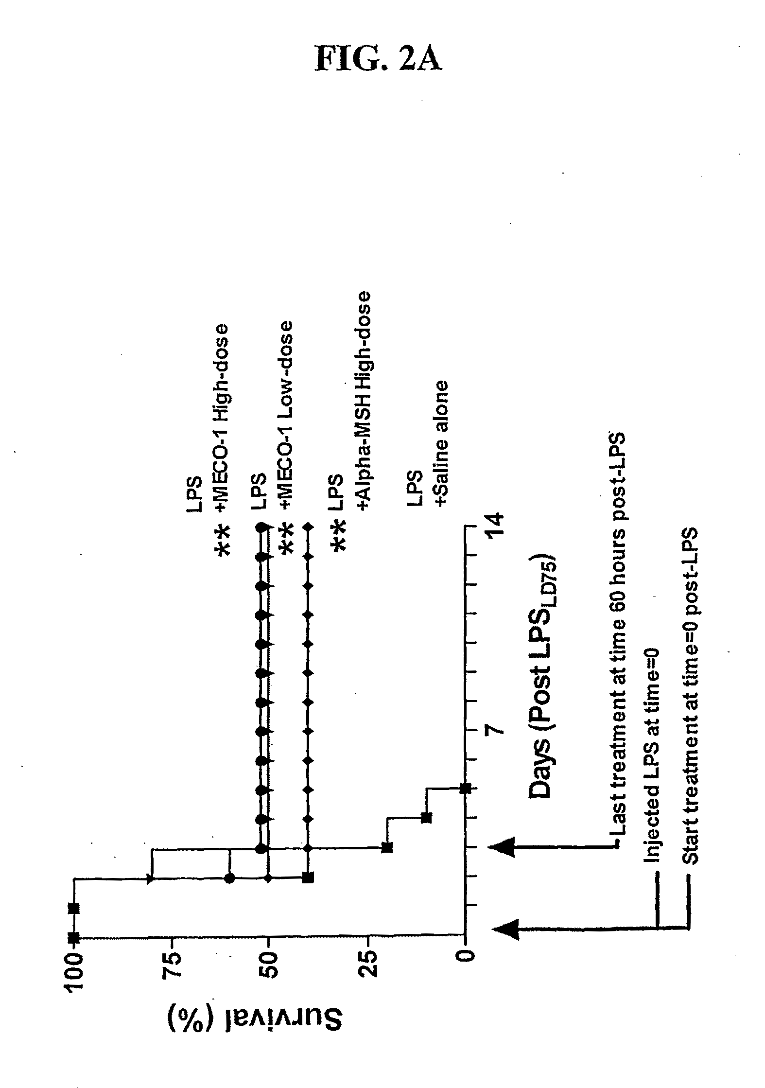 Peptide mimics of melanocyte stimulating hormone