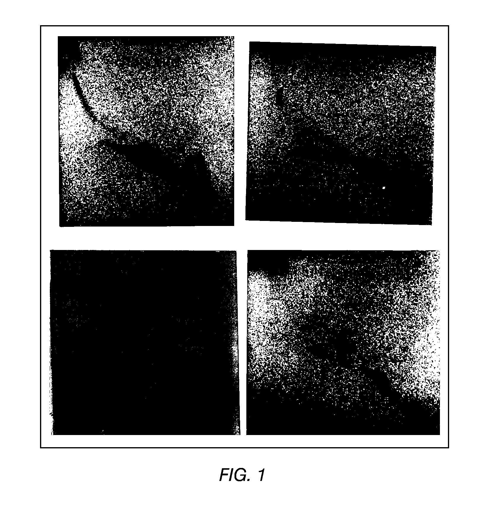 Adjuvant combinations of liposomes and mycobacterial lipids for immunization compositions and vaccines