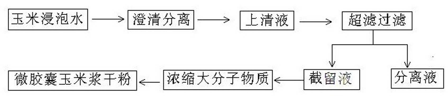 Method for preparing instant dried corn steep liquor powder by using corn steep liquor