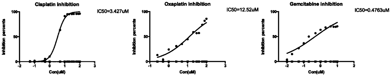 Chinese pancreas cancer cell line sipanc-187 establishment method