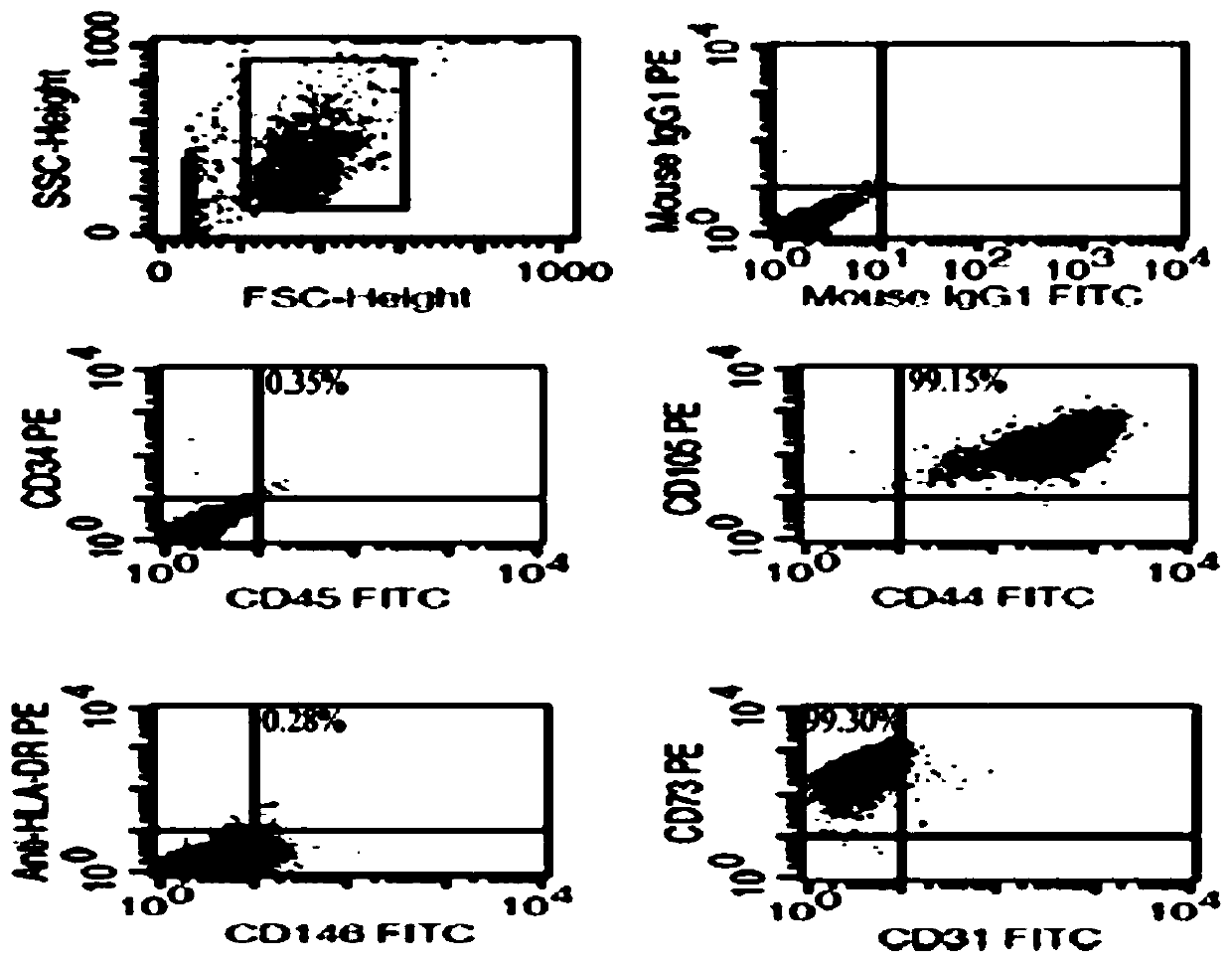 Application of mesenchymal stem cell paracrine factor in eye drops