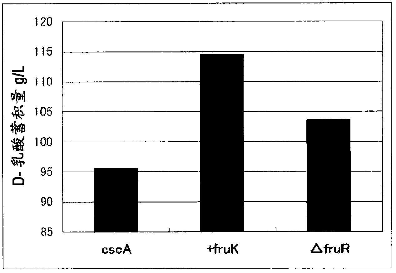 Method for producing lactic acid from plant-derived raw material, and lactic-acid-producing bacterium