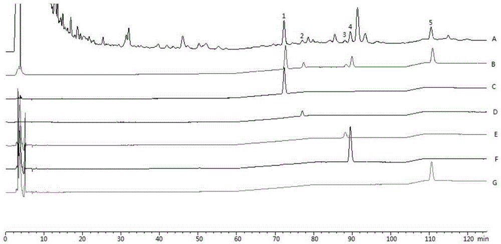 Tripterygium hypoglaucum hutch active-components detection method based on ionic liquid-ultrasonic assistance-HPLC