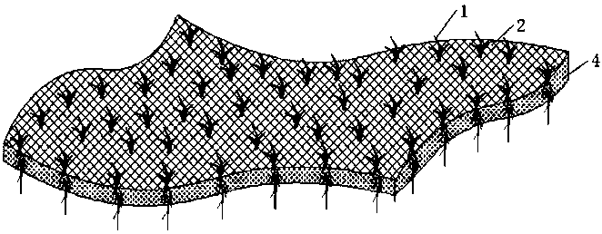 Ecological water square module used for black and stink water body treatment and water quality improvement