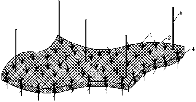 Ecological water square module used for black and stink water body treatment and water quality improvement