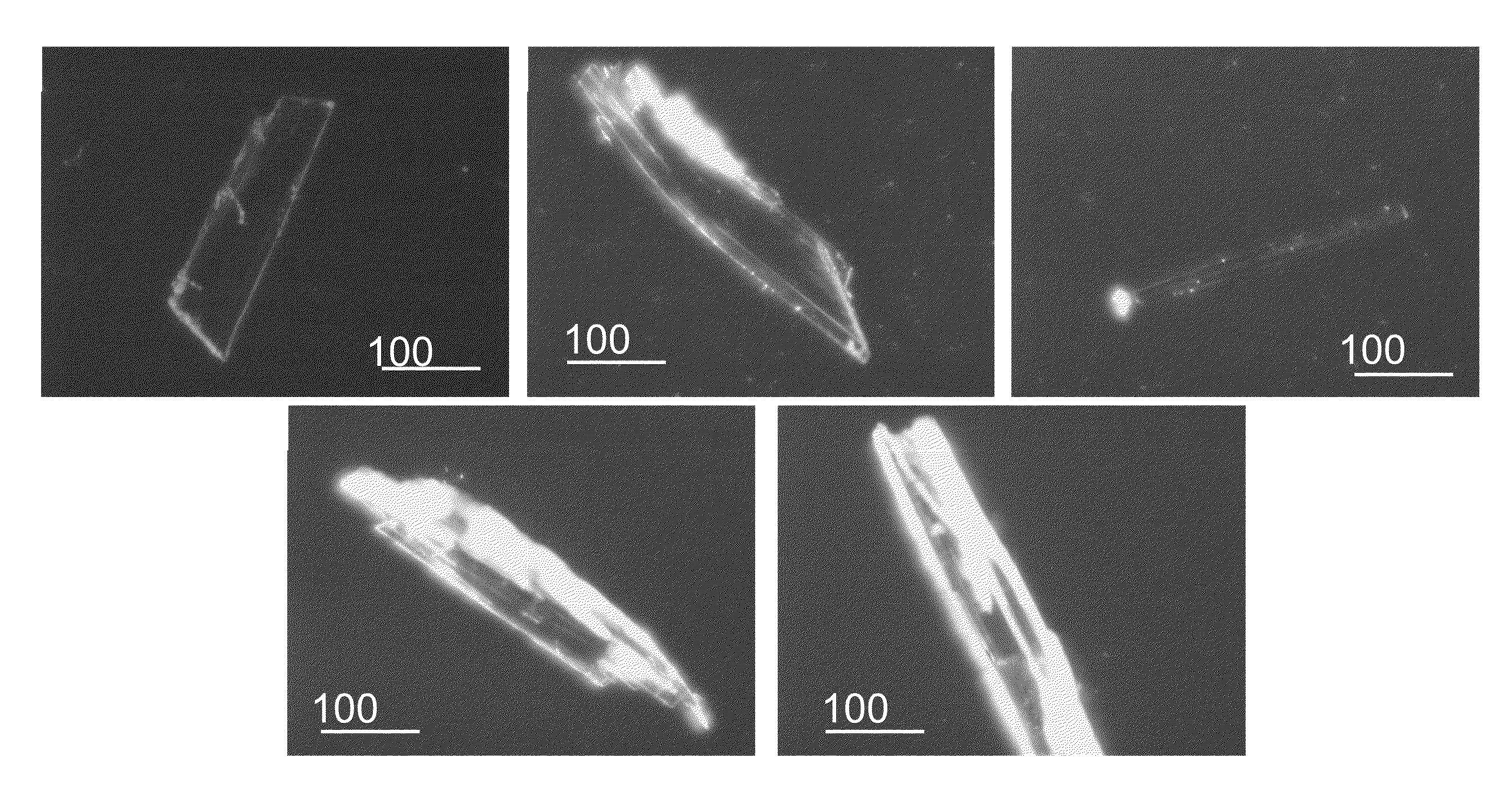 Co-crystallizable diacetylenic monomer compositions, crystal phases and mixtures, and related methods