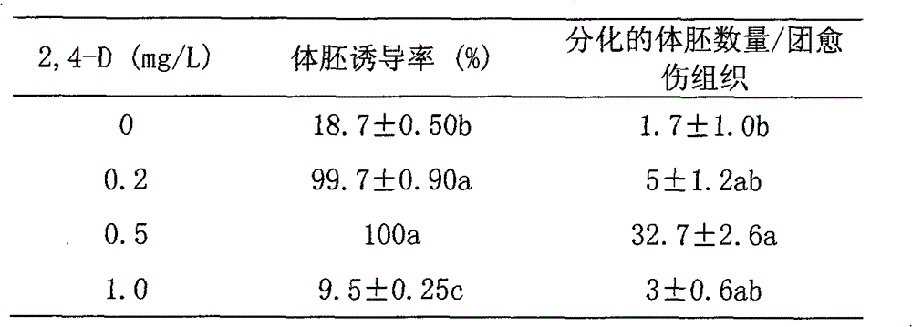 A method for cultivating somatic embryos for rapid propagation of Panax notoginseng regenerated plants using a bioreactor