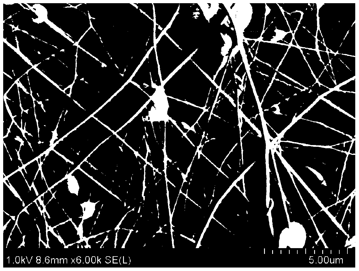 Nano preservative film with intelligent response and antibacterial functions and preparation method thereof