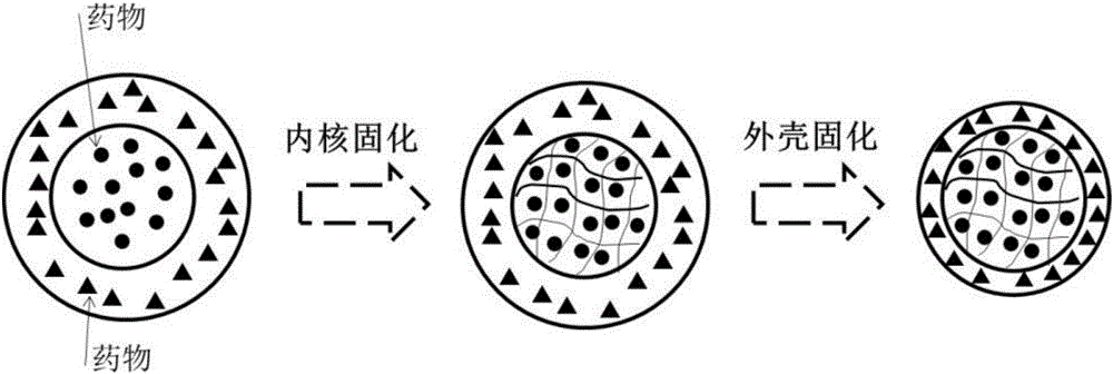 Compound medicine microcarrier with core-shell structure