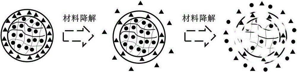 Compound medicine microcarrier with core-shell structure