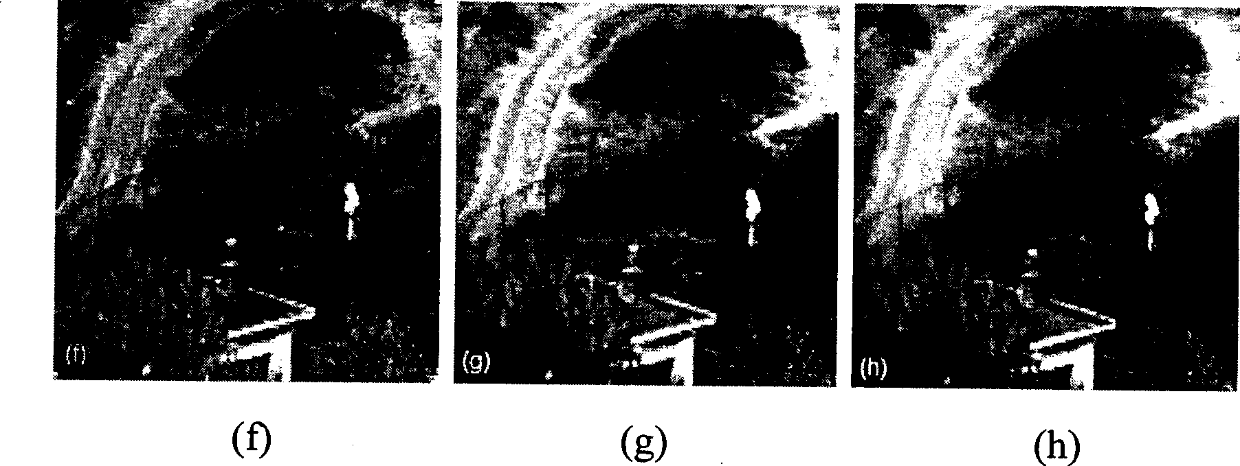 Image fusion of sequence infrared and visible light based on region segmentation