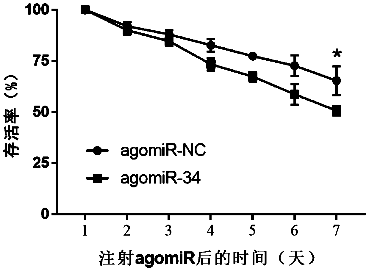 miRNA for regulating and controlling insect wing development and application of miRNA