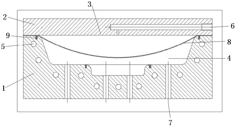 Apparatus and method for superplastic forming