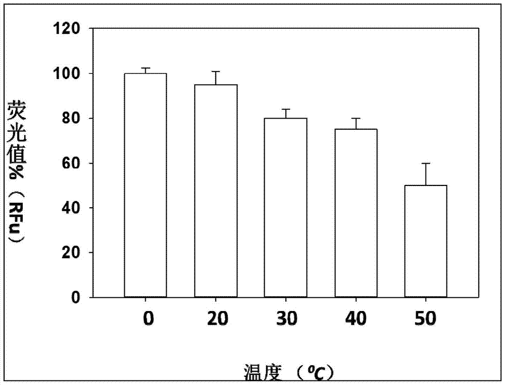 High-throughput screening system and screening method for c-cbl protein ubiquitination inhibitors