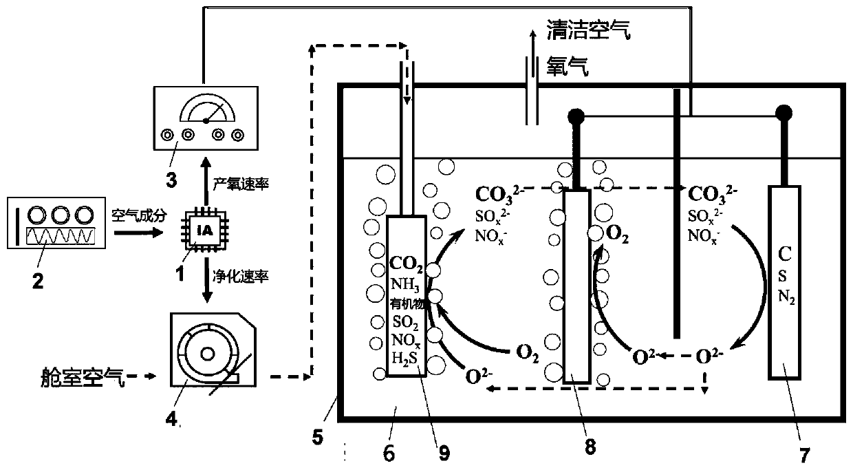 Intelligent air purification and oxygen supplementing method and device