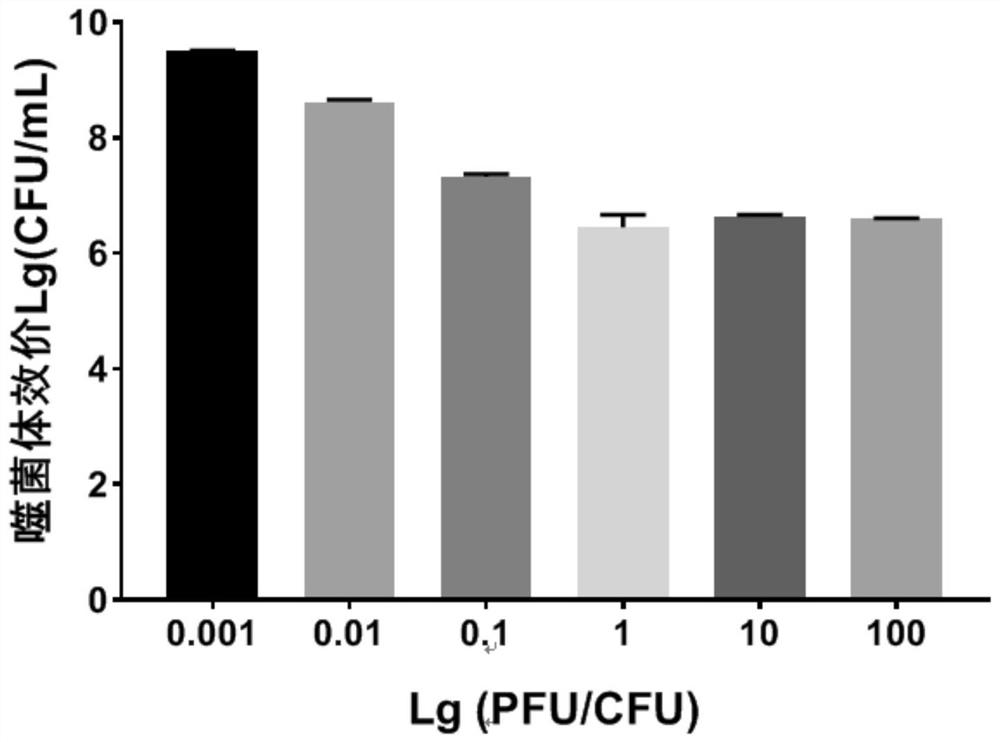 Proteus mirabilis phage and application thereof