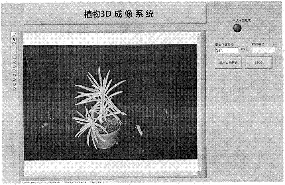 Device for automatically extracting three-dimensional phenotypic characters of small plants