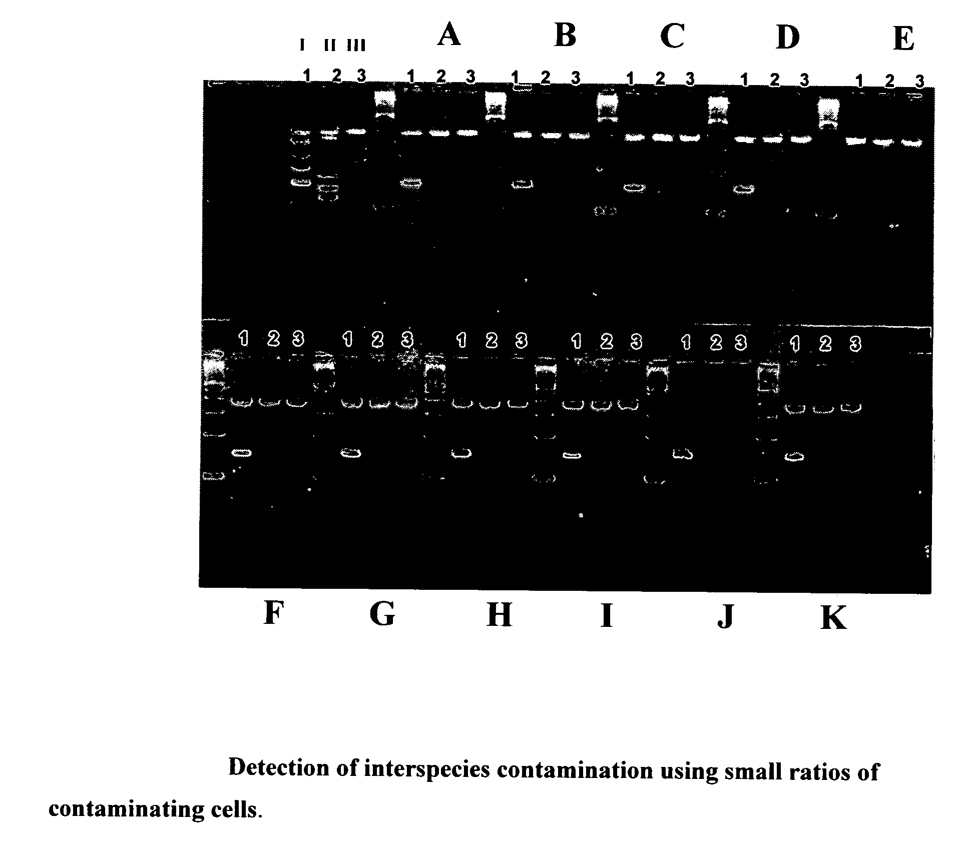 Method for detecting the presence of mammalian organisms using specific cytochrome c oxidase I (COI) and/or cytochrome b subsequences by a PCR based assay