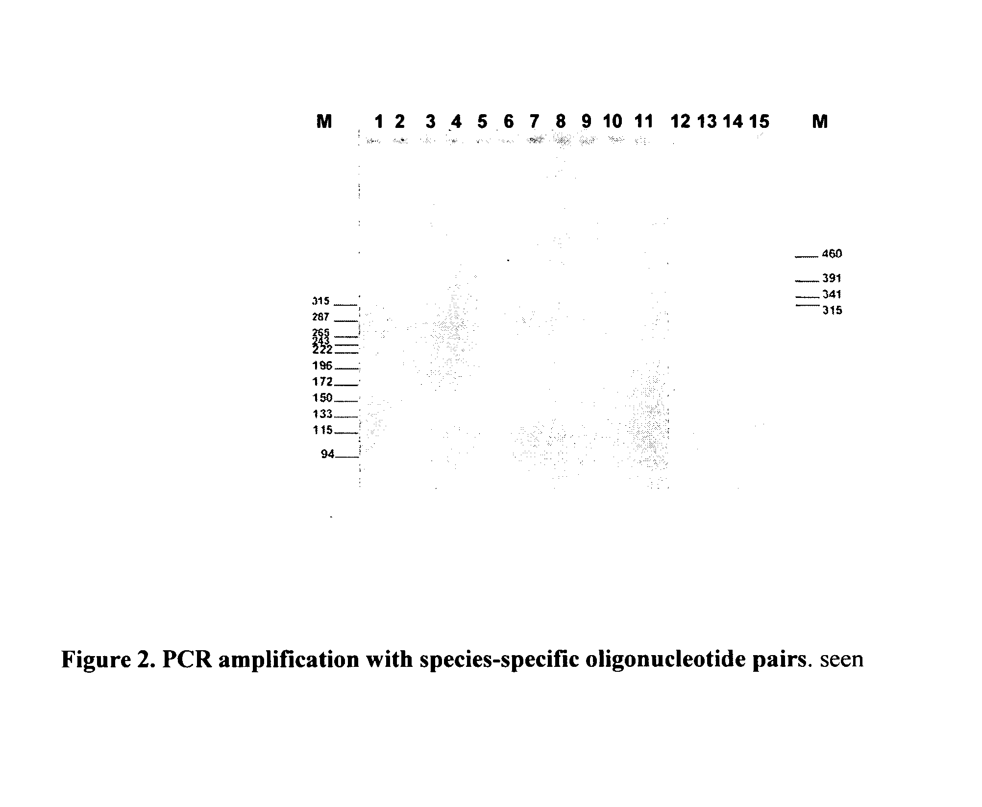 Method for detecting the presence of mammalian organisms using specific cytochrome c oxidase I (COI) and/or cytochrome b subsequences by a PCR based assay