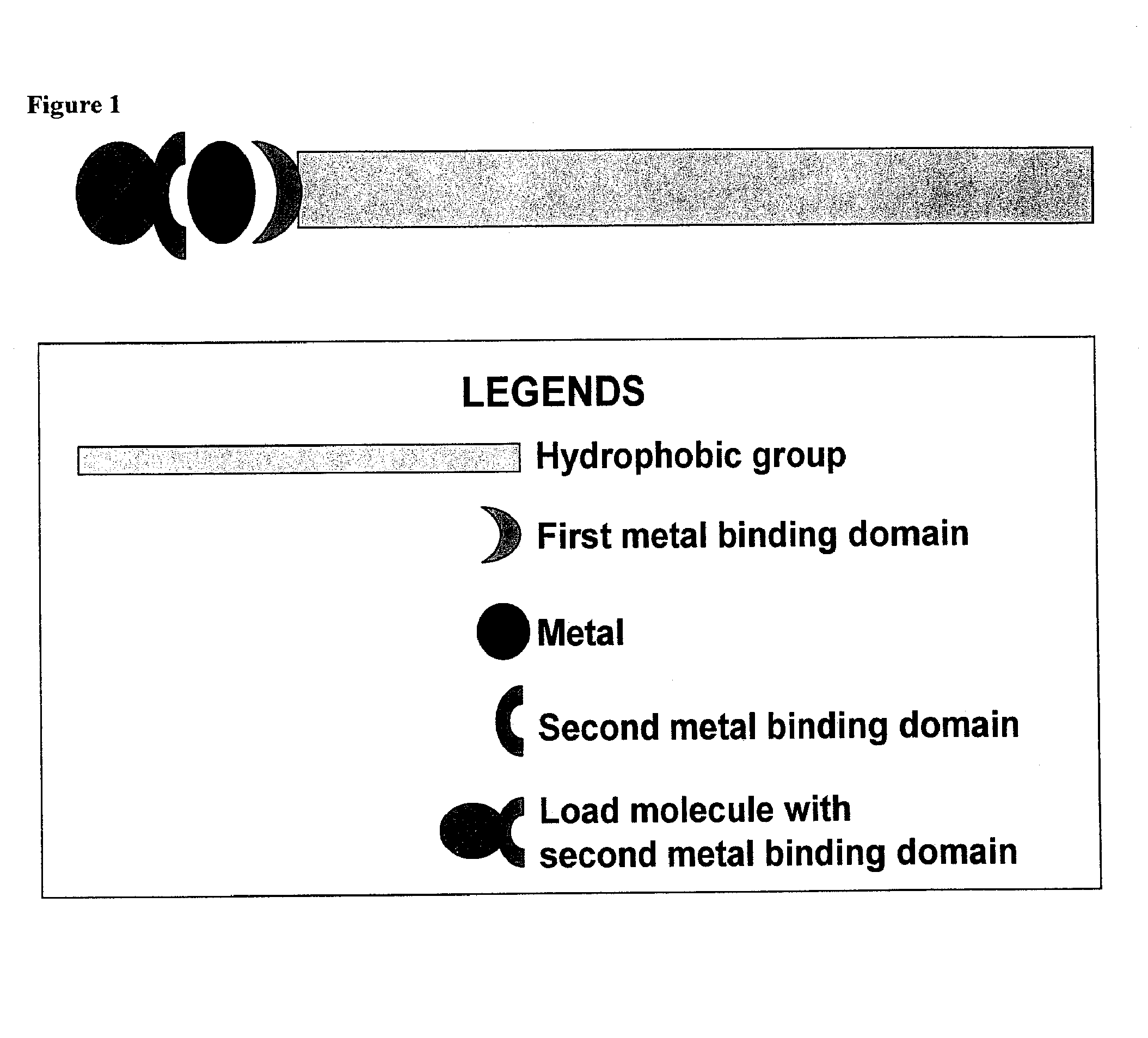 Compositions for delivery of therapeutics and other materials