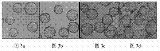 Production method of canine parvovirus inactivated vaccine by utilizing bioreactor