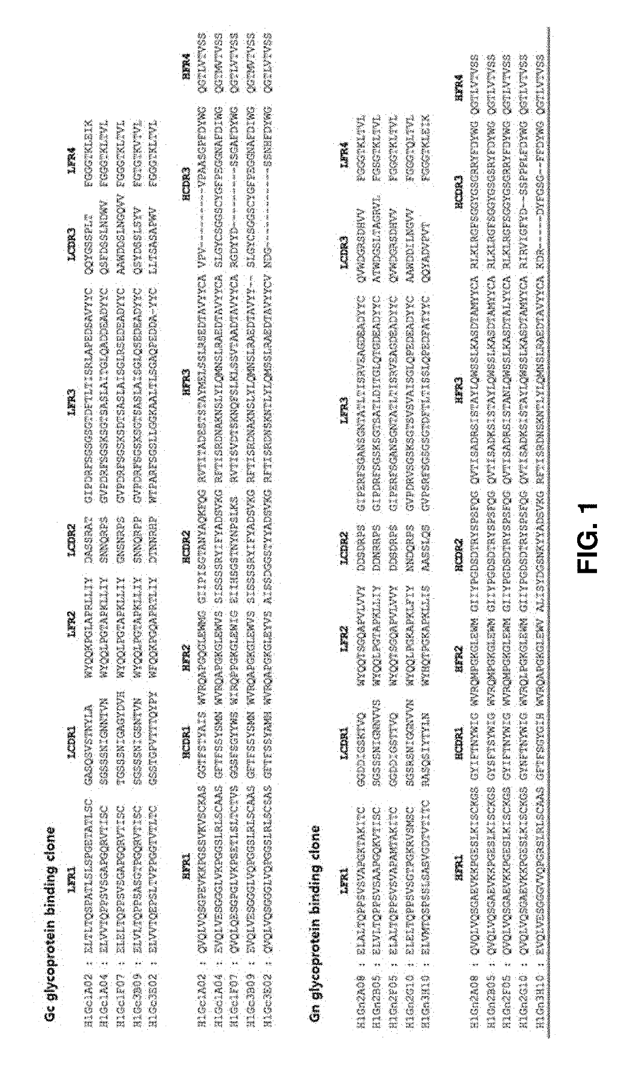 Antibody that binds to envelope glycoprotein of severe fever with thrombocytopenia syndrome virus and use for same