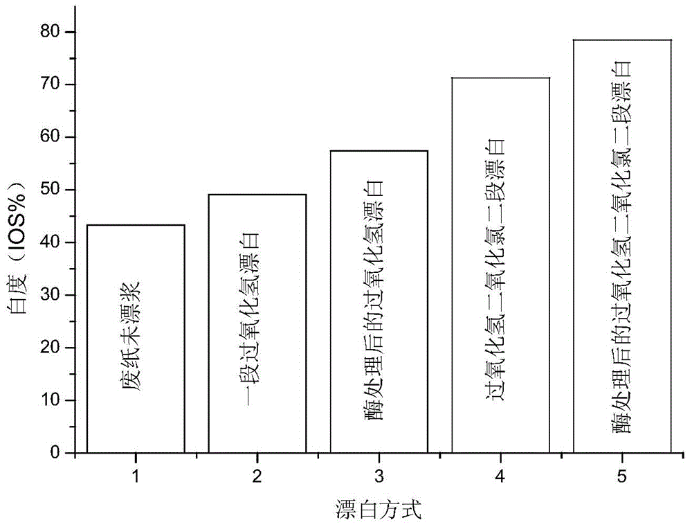 Paper pulp biomass-based enzyme pretreatment bleaching method