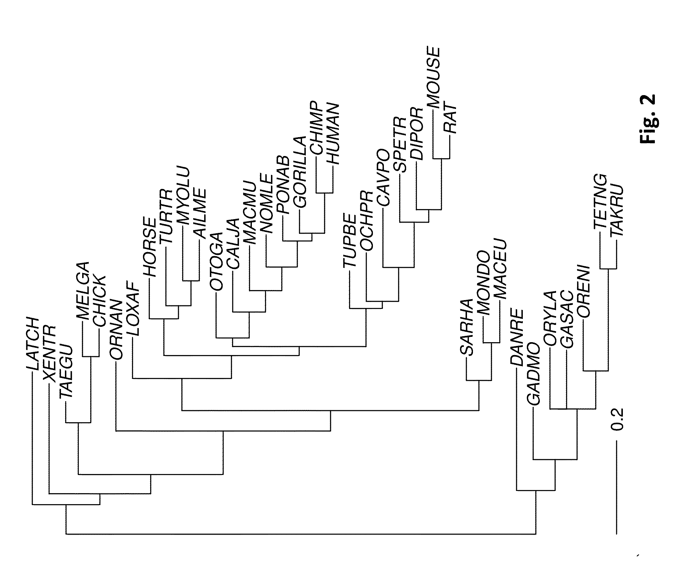 Evolutionary models of multiple sequence alignments to predict offspring fitness prior to conception