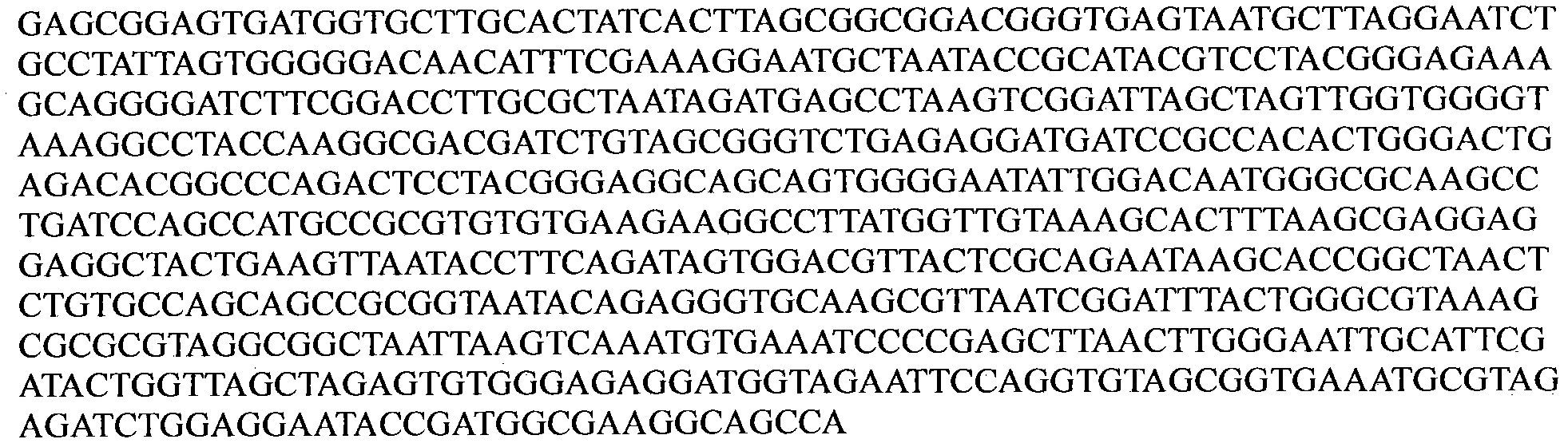 Acinetobacter calcoaceticus T32 capable of metabolizing furazolidone and application thereof