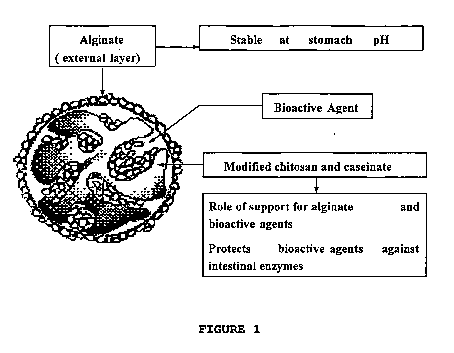 Biocompatible compositions as carriers or excipients for pharmaceutical and nutraceutical formulations and for food protection