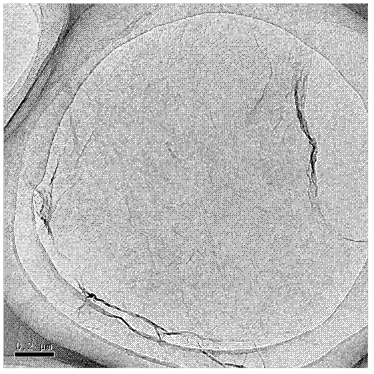 Preparation method of graphene-carbon nanotube compound film based on three-dimensional network appearance