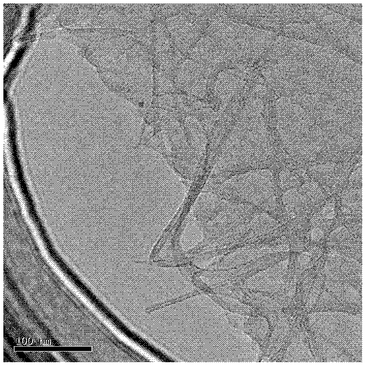 Preparation method of graphene-carbon nanotube compound film based on three-dimensional network appearance