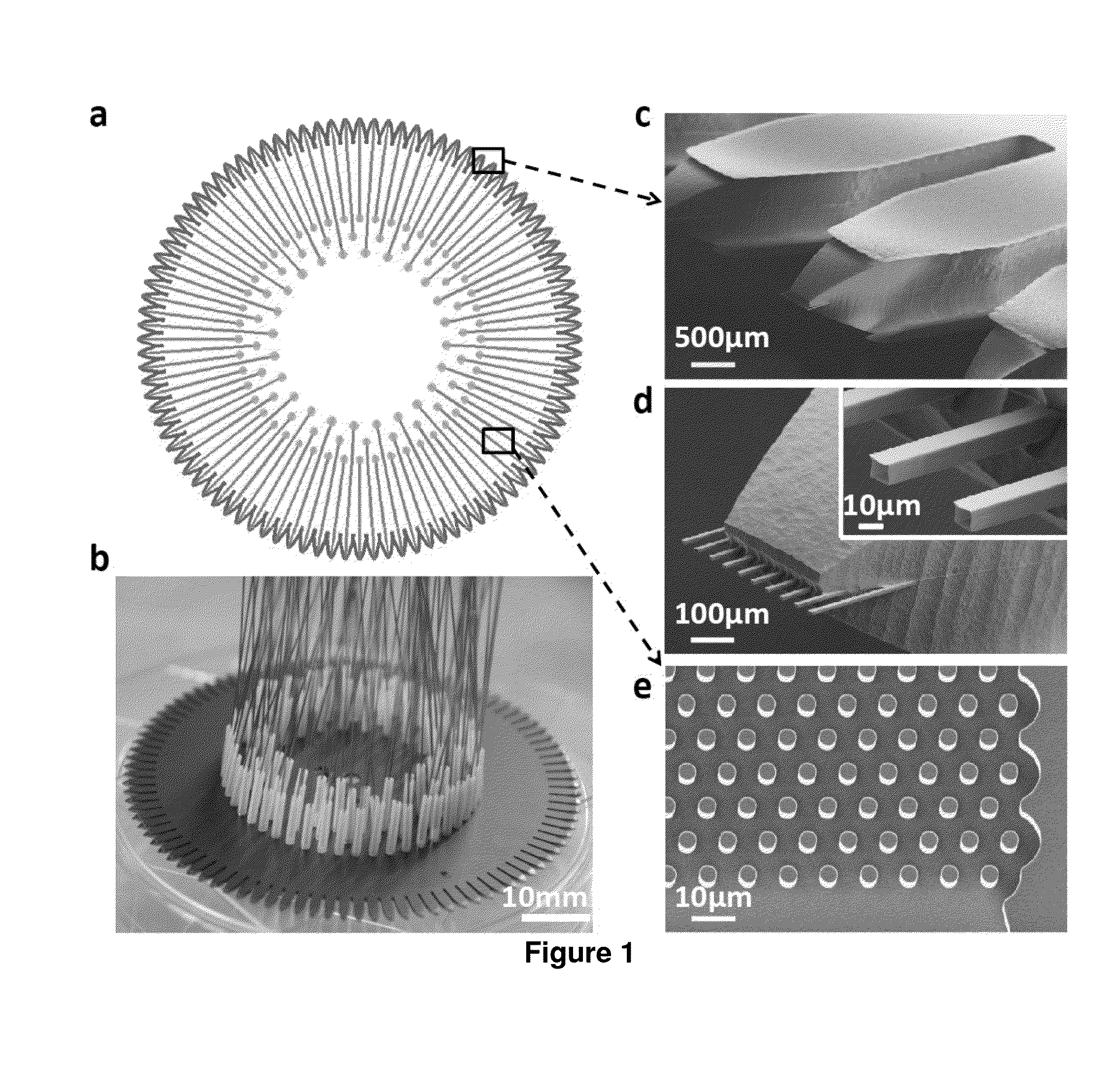 Multinozzle Emitter Arrays for Ultrahigh-Throughput Nanoelectrospray Mass Spectrometry