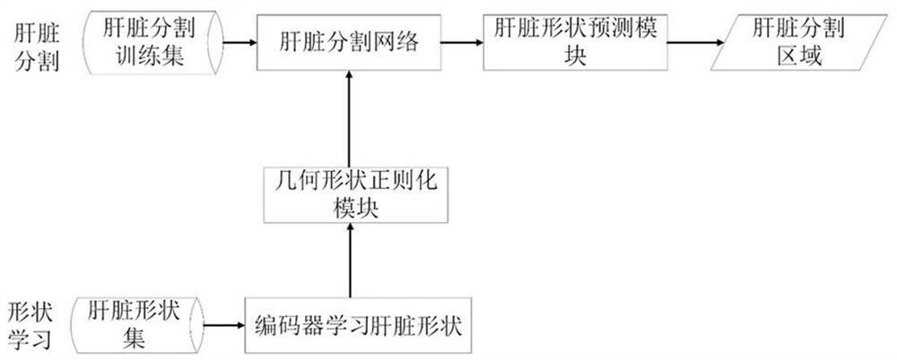 Liver CT automatic segmentation method based on deep shape learning